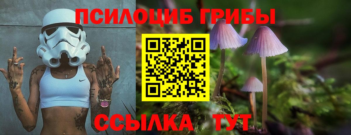 Галлюциногенные грибы прущие грибы Тимашёвск