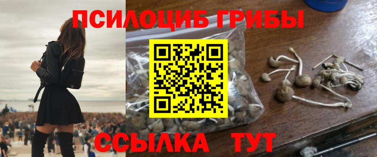Псилоцибиновые грибы Magic Shrooms  Вход с VPN  Псилоцибиновые грибы прущие грибы  Тимашёвск 